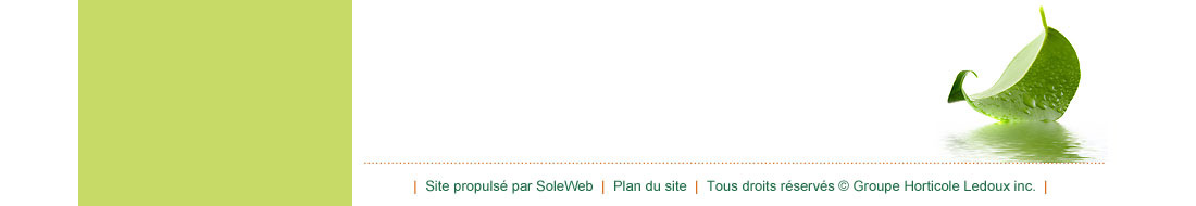 pied de page francais ghlinc