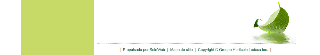 pied de page espagnol ghlinc